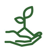 BDMG Agrosustentável