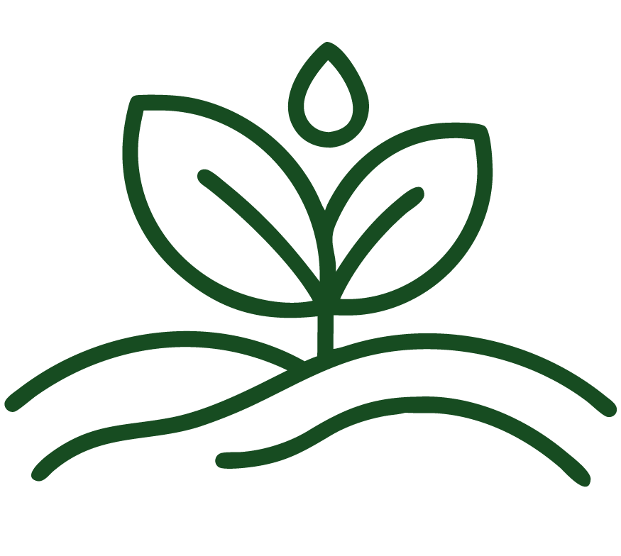 BDMG Green Rural Credit