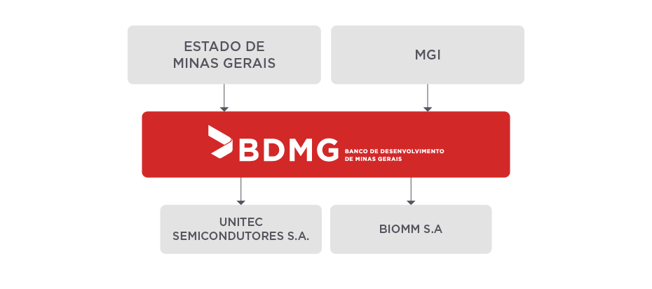 BDMG Estrutura Acionária