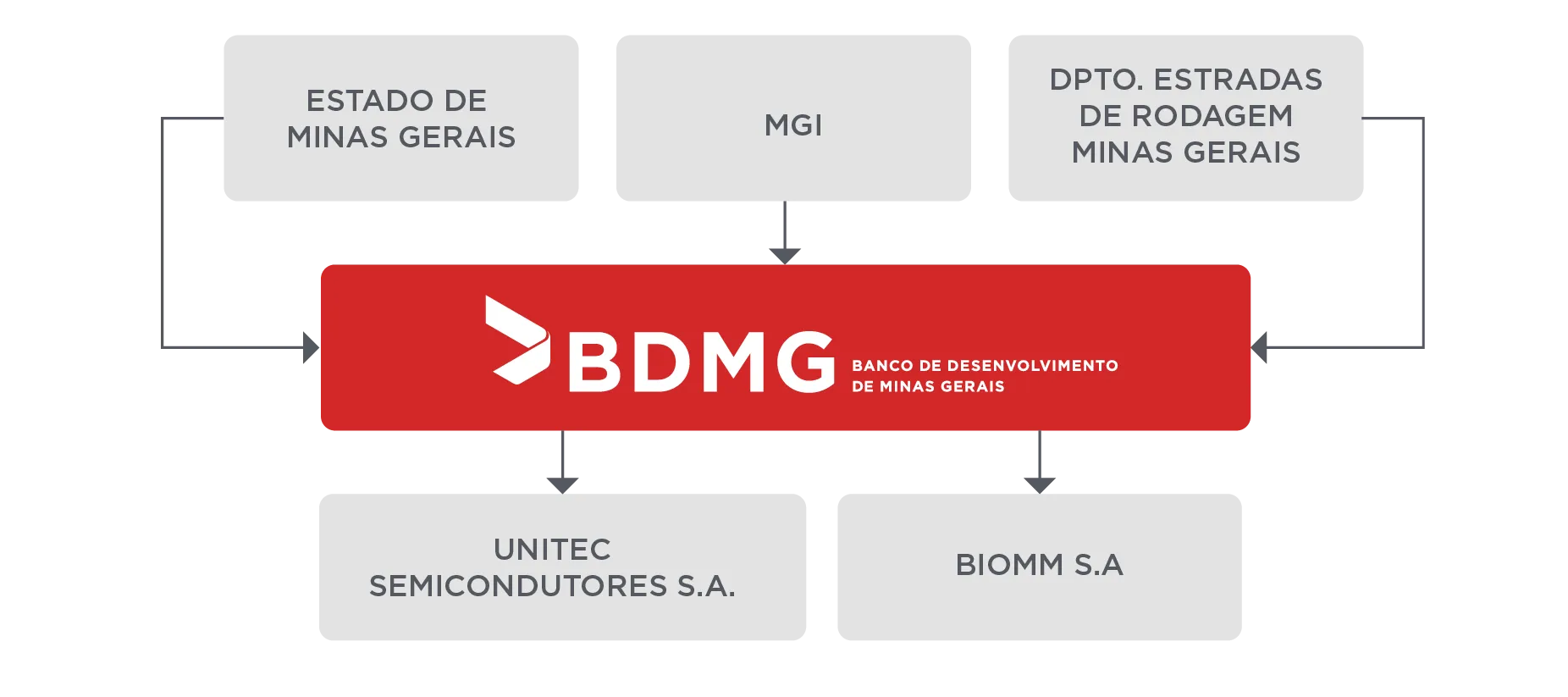 BDMG Estrutura Acionária